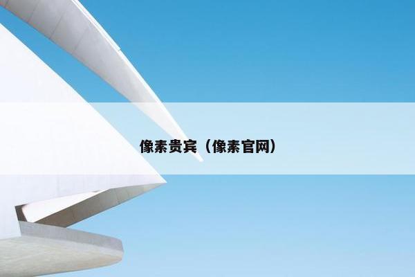 像素贵宾（像素官网）