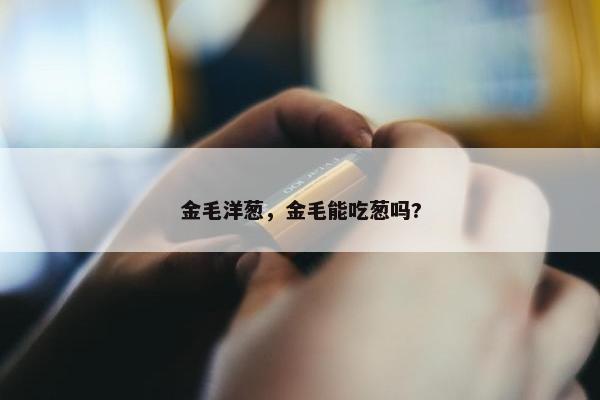 金毛洋葱，金毛能吃葱吗?