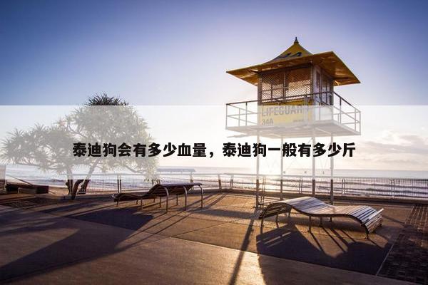 泰迪狗会有多少血量，泰迪狗一般有多少斤