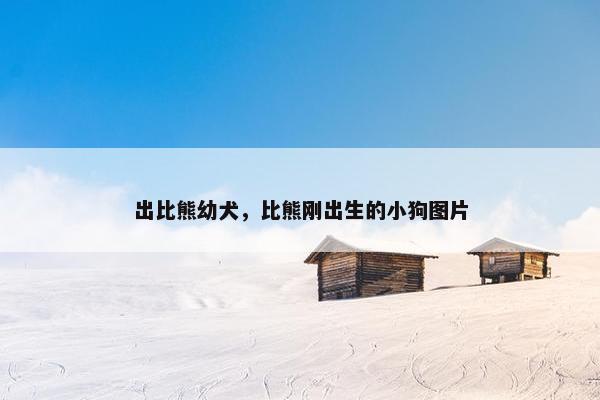 出比熊幼犬，比熊刚出生的小狗图片