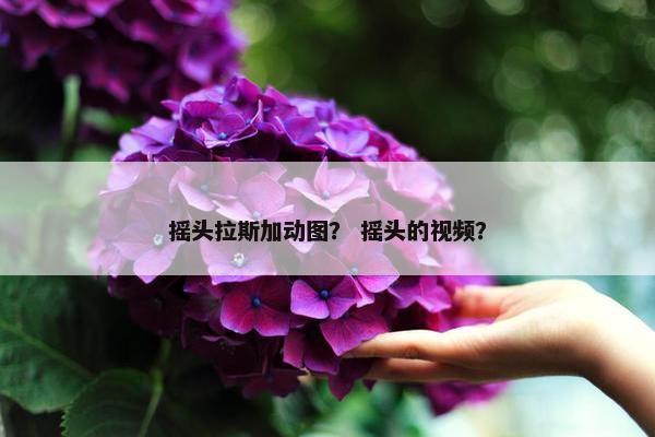 摇头拉斯加动图？ 摇头的视频？