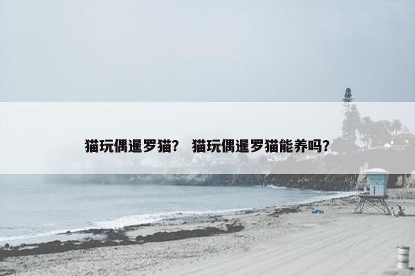 猫玩偶暹罗猫？ 猫玩偶暹罗猫能养吗？