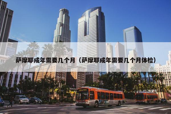 萨摩耶成年需要几个月（萨摩耶成年需要几个月体检）