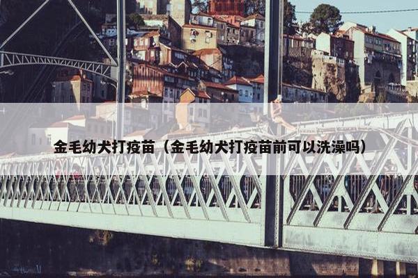 金毛幼犬打疫苗（金毛幼犬打疫苗前可以洗澡吗）