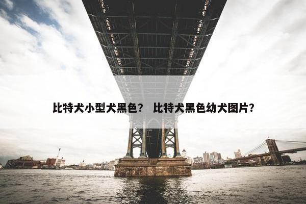 比特犬小型犬黑色？ 比特犬黑色幼犬图片？