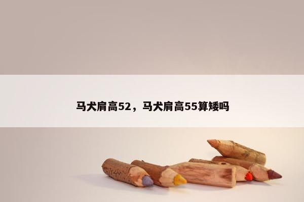 马犬肩高52，马犬肩高55算矮吗