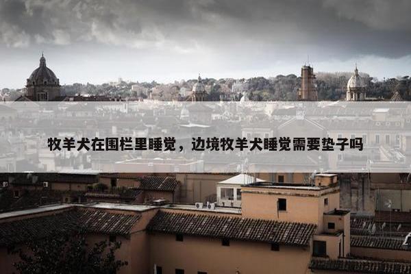 牧羊犬在围栏里睡觉，边境牧羊犬睡觉需要垫子吗