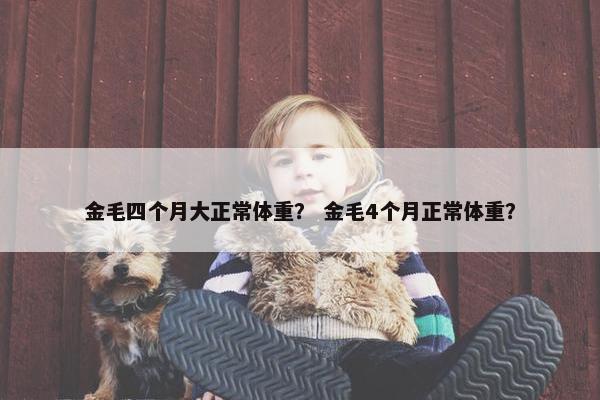 金毛四个月大正常体重？ 金毛4个月正常体重？