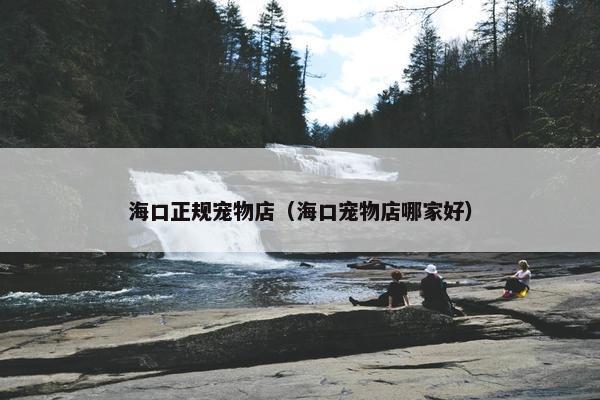 海口正规宠物店（海口宠物店哪家好）