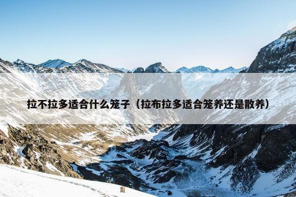 拉不拉多适合什么笼子（拉布拉多适合笼养还是散养）