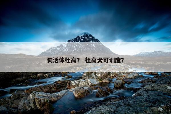 狗活体杜高？ 杜高犬可训度？