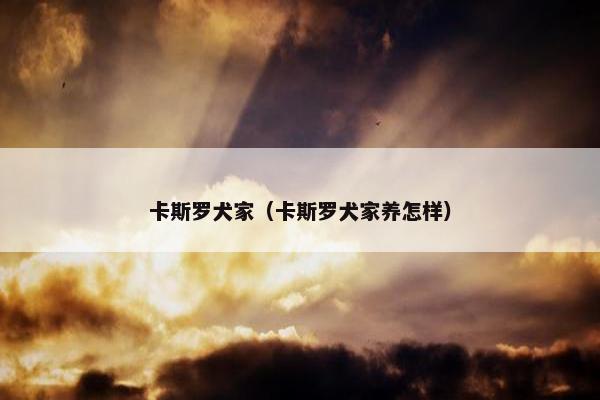 卡斯罗犬家（卡斯罗犬家养怎样）