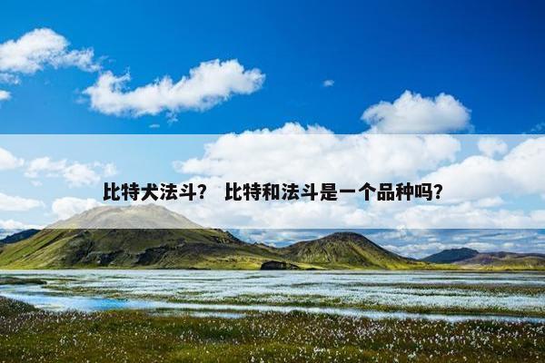 比特犬法斗？ 比特和法斗是一个品种吗？
