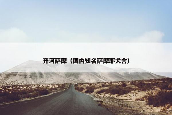 齐河萨摩（国内知名萨摩耶犬舍）