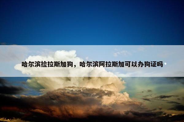 哈尔滨捡拉斯加狗，哈尔滨阿拉斯加可以办狗证吗