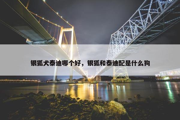 银狐犬泰迪哪个好，银狐和泰迪配是什么狗