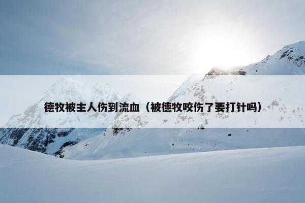 德牧被主人伤到流血（被德牧咬伤了要打针吗）