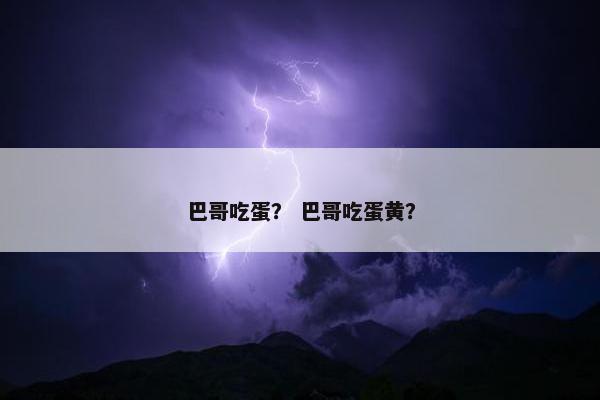 巴哥吃蛋？ 巴哥吃蛋黄？