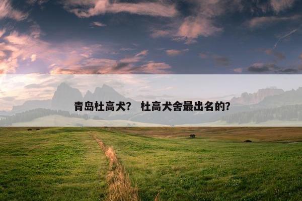 青岛杜高犬？ 杜高犬舍最出名的？