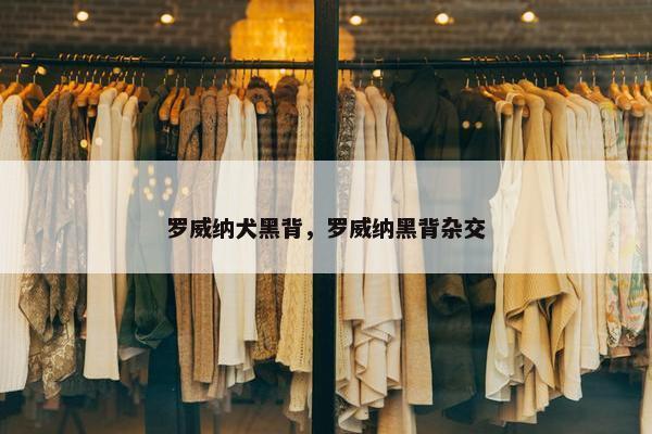 罗威纳犬黑背，罗威纳黑背杂交
