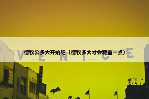 德牧公多大开始肥（德牧多大才会稳重一点）