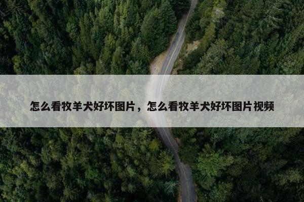 怎么看牧羊犬好坏图片，怎么看牧羊犬好坏图片视频
