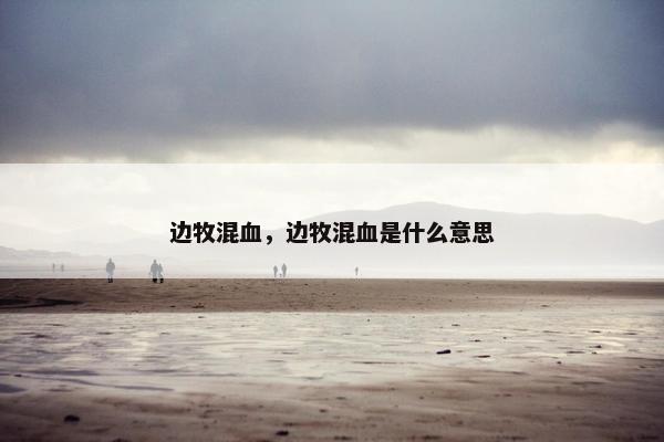 边牧混血，边牧混血是什么意思