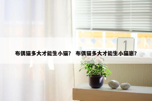 布偶猫多大才能生小猫？ 布偶猫多大才能生小猫崽？