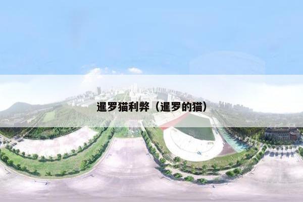 暹罗猫利弊（暹罗的猫）