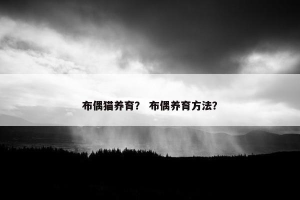布偶猫养育？ 布偶养育方法？