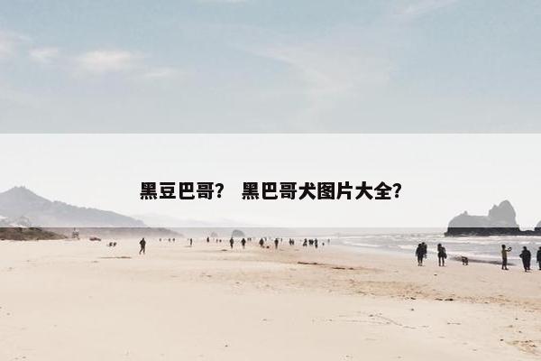 黑豆巴哥？ 黑巴哥犬图片大全？