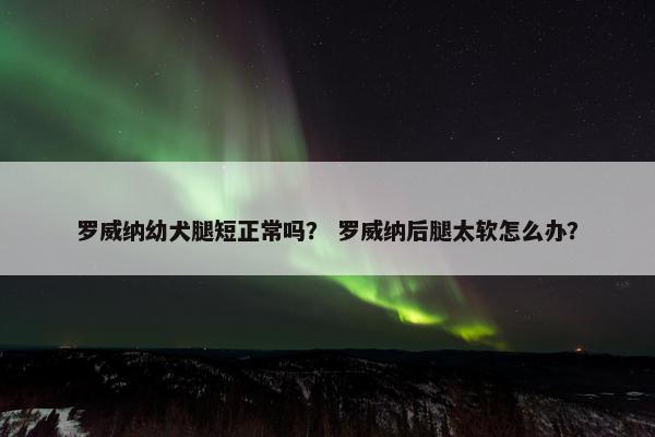 罗威纳幼犬腿短正常吗？ 罗威纳后腿太软怎么办？