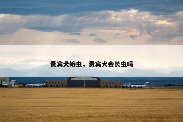 贵宾犬蛾虫，贵宾犬会长虫吗