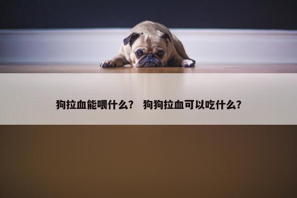 狗拉血能喂什么？ 狗狗拉血可以吃什么？