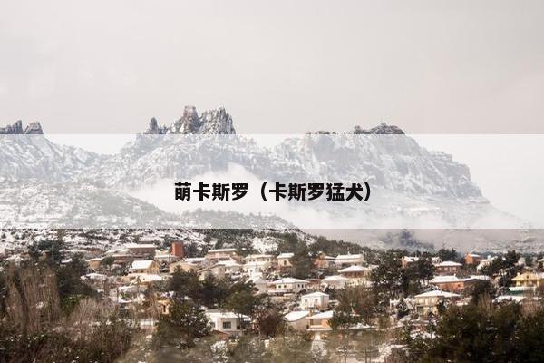 萌卡斯罗（卡斯罗猛犬）