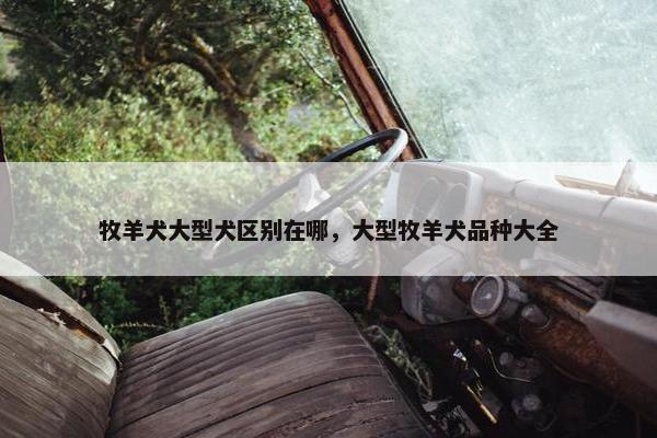 牧羊犬大型犬区别在哪，大型牧羊犬品种大全