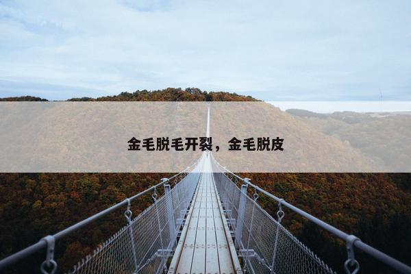 金毛脱毛开裂，金毛脱皮