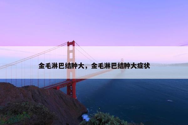 金毛淋巴结肿大，金毛淋巴结肿大症状
