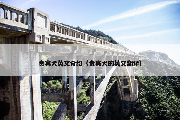 贵宾犬英文介绍（贵宾犬的英文翻译）