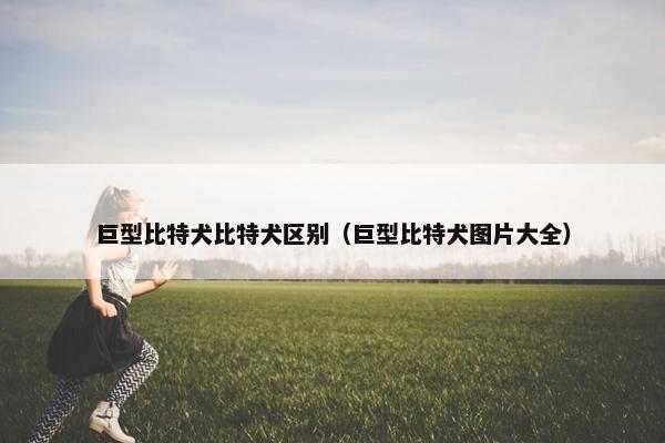 巨型比特犬比特犬区别（巨型比特犬图片大全）