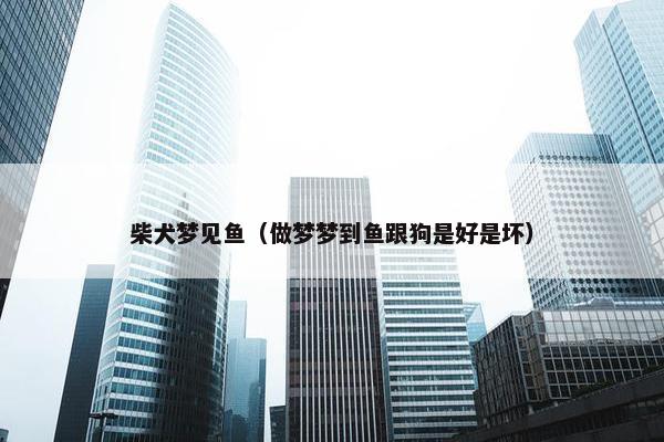 柴犬梦见鱼（做梦梦到鱼跟狗是好是坏）