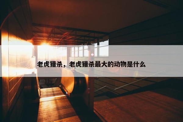 老虎猎杀，老虎猎杀最大的动物是什么