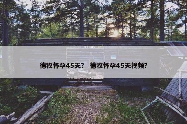德牧怀孕45天？ 德牧怀孕45天视频？