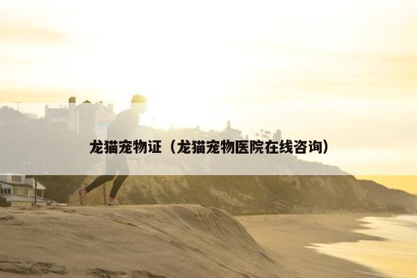 龙猫宠物证（龙猫宠物医院在线咨询）