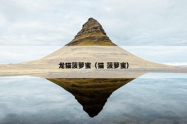 龙猫菠萝蜜（猫 菠萝蜜）