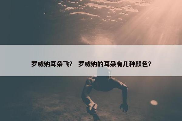 罗威纳耳朵飞？ 罗威纳的耳朵有几种颜色？