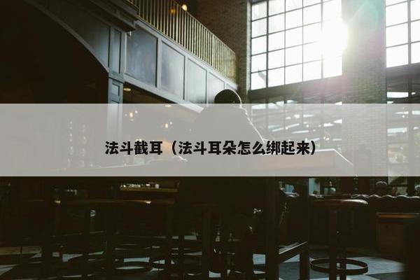 法斗截耳（法斗耳朵怎么绑起来）