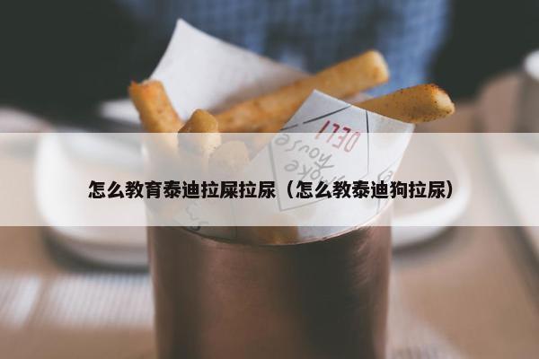 怎么教育泰迪拉屎拉尿（怎么教泰迪狗拉尿）