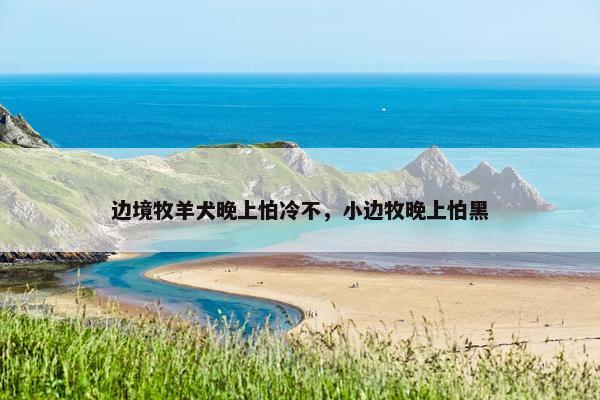 边境牧羊犬晚上怕冷不，小边牧晚上怕黑