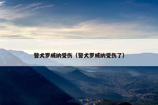 警犬罗威纳受伤（警犬罗威纳受伤了）